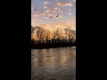Why Do Birds Migrate?