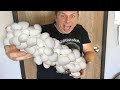 SO MANY PYTHON EGGS!! | BRIAN BARCZYK