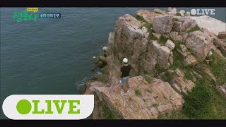 island trio 아~그랬냐~치와와~발발이~ 용화 킹 탄생! 171002 EP.20