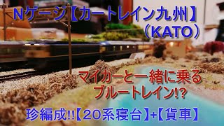 Nゲージ【カートレイン九州】(KATO)/クルマと一緒に乗れるブルートレインって!?/【ジオラマ】走行シーン/#shorts #nゲージ #カートレイン #20系 #貨物列車 #211系