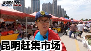 儿子没啥事，昆明第二天发现驻车旁边有很多人赶集【罗宾VLOG】