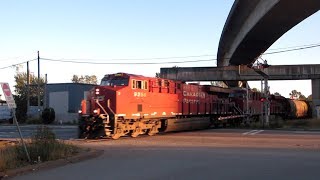 CP Freight - Braid Junction (August 17th, 2017)