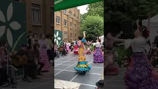 💚五月祭💚 ①セビジャーナス #フラメンコ #フラメンコギター #ダンス #ダンス動画 #東京大学 #flamenco #dance #performance #tokyo #japan