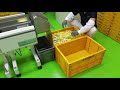 솔팩 후리가케 자동포장기계 seasoning powder automatic packaging machine