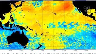 Scientists monitoring new marine heat wave off West Coast that resembles ‘the Blob’