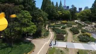 Bebop Drone 動画：2015-04-30T111219+0000