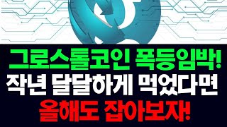 그로스톨코인 폭등임박! 작년 달달하게 먹었다면 올해도 잡아보자!