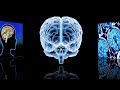 What If Human Brain Transplants Changed the World? | Unveiled