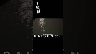 今日も今日とてシーバス釣り　名古屋河川上流へ上ってるか調査　1日目