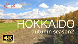 【4K】HOKKAIDO 🍁autumn2 relax music