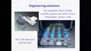 Sniffer Bees - A case study in scientific innovation | John Wilkins | TEDxBedfordSchool