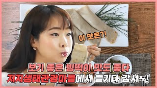 [제주 팜팜버스여행] 제주도에서 하는 먹방투어 ? 예술투어 알뜰하게 즐기다 갑서 ~! 저지생태관광마을편 (with. 빙떡