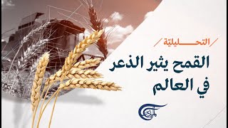 نشرة التحليلية | بوادر أزمة قمح عالمية.. حرب تجويع؟ | 2022-05-17