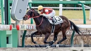 3歳未勝利　ダ1800m (右)　ウインイメル　牡3　57.0　黛弘人　　2024.1.7　　出走馬：ダイクロアイト、ニシノコルベット、ミレニアムヒロイン、カシノカンピオーネ、ダノンマカルー他