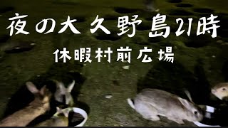 夜の大久野島21時！休暇村前広場編