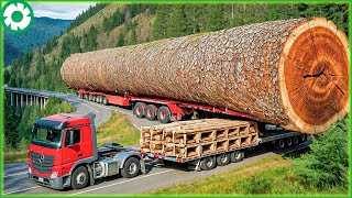 111 Jaw-Dropping Most Dangerous Transport Skills | Biggest Heavy Machinery Machines