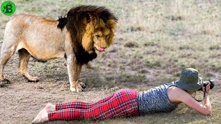 जब जंगली जानवर अचानक सामने आ जाए/Lioness surprised the Photographer | Jungle Box | Wild Gravity |