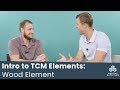 Wood Element - Intro to the Traditional Chinese Elements | Dr. Josh Axe