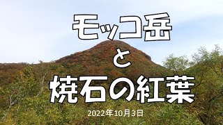 モッコ岳と焼石の紅葉　（2022年10月3日）