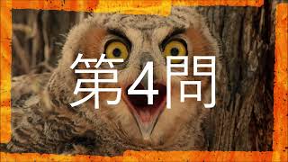 どっちがどっち？クイズ　地理　半島編