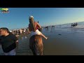 cabalgata en la playa 🌴 cartagena colombia 🇨🇴 raspa de velitas 2024 🎄