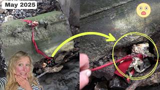 Is This One of My Most Disturbing Thames Mudlarking Finds? What do you Think It Means? (May 2025)