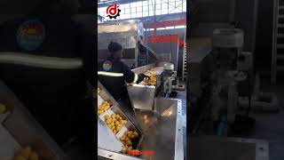 Fully Automatic Chips line आलू डाले और तैयार चिप्स पाए  by Dynamech Engineers