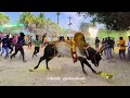 ரெட்டிப்பட்டி எருதாட்டம் 2024 jallikattu trending video viral videos eruthattam salem