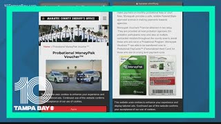 Manatee County Sheriff's Office says fake website poses as official site