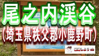 【尾之内渓谷】【埼玉県秩父郡小鹿野町】尾之内渓谷（埼玉県秩父郡小鹿野町）