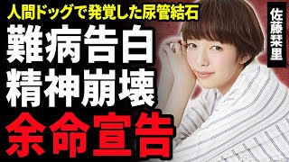 【衝撃】佐藤栞里が余命宣告されていた真相…尿管結石が5つできるほどにボロボロになった現在や抱えた難病の正体に絶句…『笑ってコラえて!』で活躍するタレントの精神崩壊した現在に涙…