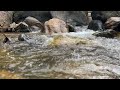 Relaxing Piano Music • Sleep Music, Flowing Water Sounds, Relaxation Music, Meditation Music