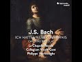 ich hatte viel bekümmernis bwv 21 sinfonia