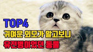 귀여운 외모가 알고보니 유전병이었던 동물 TOP4