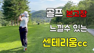 영국 골프장 느낌을 경험할수 있는  #센테리움cc