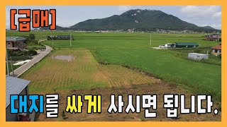 [가격조정 1억9천9백] 대지를 급매로 싸게 사세요 / 강화도토지 / 강화도부동산 / 강화도전원주택 / 강화도농막 / 전원주택부지