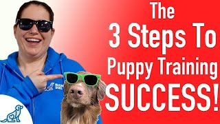 The 3 Most Important Steps To Teach Your Dog ANY Skill!