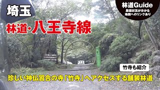 埼玉【林道・八王寺線】神社のような竹寺へのアクセス道