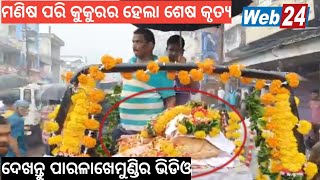 ଗୃହ ପାଳିତ କୁକୁରକୁ ଏମିତି ସମ୍ମାନ ଦେଖି ସମସ୍ତେ ଆଶ୍ଚର୍ଯ୍ୟ