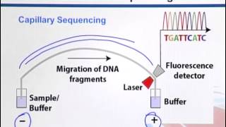 BIF733_Topic046