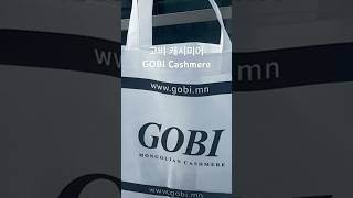 몽골여행 고비캐시미어 GOBI Cashmere #여행 #travel #mongolia #shorts