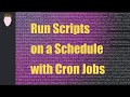How to Use Cron Jobs to Automate Your Scripts