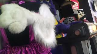 Chuck E Cheese Middletown NJ Pumpkin Patch