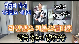 [라인댄스기본스텝1편]한곡춤추기실전(Demo)