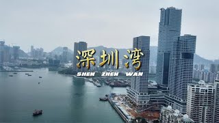 超清航拍 香港和深圳之间的海湾 深圳湾 风光旖旎徒步骑车好去处