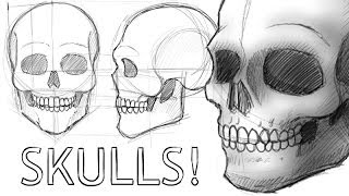 How to Draw Skulls