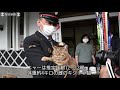 ねこ駅長、就任3年　住民らが記念祝う　jr豊後竹田駅