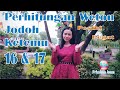 Perhitungan Weton Jodoh Ketemu 16 dan 17 | Primbon Jawa