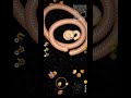 snake game worms zone oi biggest snake snake wormszone ytshortsvideo