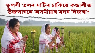 আজি কাতি বিহু;তুলসী তলৰ মাটিৰ চাকিয়ে কঙালীত উজলাবনে অসমীয়াৰ মনৰ নিজৰা?